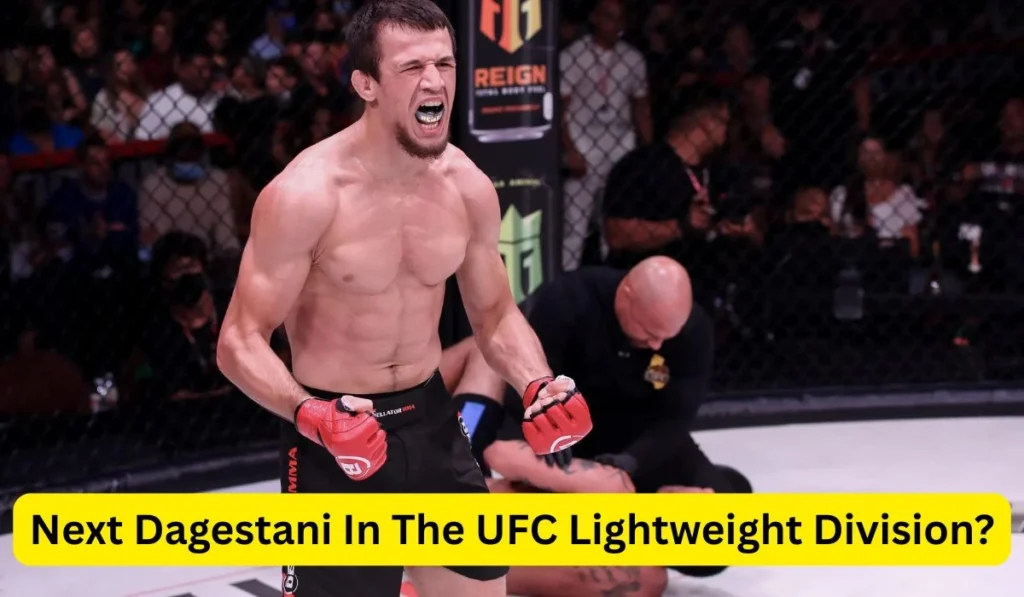 UFC Lightweight Division